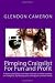 Pimping Craigslist For Fun and Profit: A down and dirty overview on how to make money on craigslist, by buying and selling pre-owned items