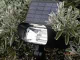 powerbee Powerbee Solar garden Spot light with 8 superbright leds