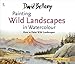 David Bellamy's Painting Wild Landscapes in Watercolour