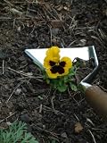 Review Joseph Bentley  / Long Handled Three Edged Hoe - Stainless Steel
