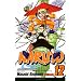 Naruto, Vol. 12: The Great Flight
