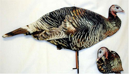 Upright Hen Turkey Decoy