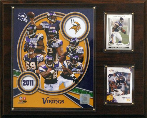 NFL Minnesota Vikings 2011 Team Plaque