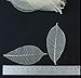 ChangThai Design Skeleton Leaves 3½