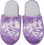 TCU Horned Frogs Big Logo Slide Slipper