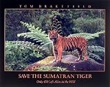 Sumatran Tiger 16 x 20 Animals Art Print Posters