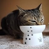 Raised Cat Feeder (Cat)food bowl#ceramic#stand