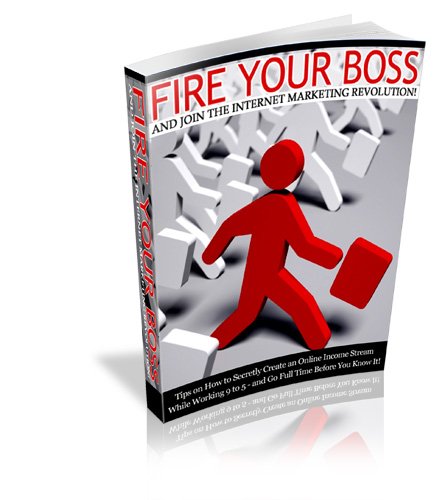51 akmwbcnL. SL500  internet home business: Fire Your Boss And Join The Internet Marketing Revolution