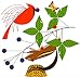 Charley Harper Lithograph- 