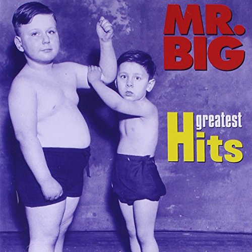 Mr. Big - Romantic Collection For Your Pleasure - Zortam Music