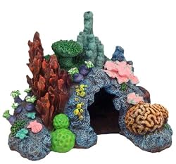 Exotic Environments Caribbean Living Reef Aquarium Ornament, Large, 12-Inch by 8-1/2-Inch by 9-Inch
