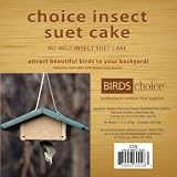 Bird &acute; s Choice Choice Insect Suet Cake - 11.75 oz - B0036GT9MA