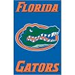 Florida Gators NCAA Applique Banner Flag (44"x28")