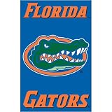 Florida Gators NCAA Applique Banner Flag (44x28)