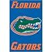 Florida Gators Applique Banner Flag
