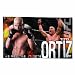 UFC Mixed Martial Arts Tito Ortiz Wall Hanging