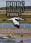 Birds of Norfolk