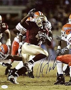 Anquan Boldin Signed Picture - Florida State 11x14 #f77316 - JSA Certified - Autographed NFL Photos