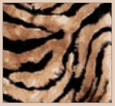 Lovely Pets - CH79009 - Pet Throw - Tiger Stripe Cozy Critter