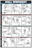 Co-ed Swiss Ball Workout I 24 X 36 Laminated - Chest, Biceps, Triceps, & Back