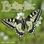 BUtterflies 2008 Wall Calendar