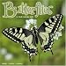 BUtterflies 2008 Wall Calendar