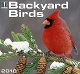 Backyard Birds 2010 Wall Calendar (1 With Nature)