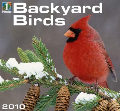 Backyard Birds 2010 Wall Calendar