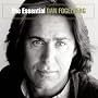 The Essential Dan Fogelberg The Essential Dan Fogelberg