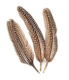 Eigenschaften KnorrPrandell / Gütermann / KnorrPrandell 6617980 - Fasanenfedern dunkel-weiß 20cm, 8 Stück/Beutel