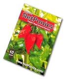 from Netponics Naga Jolokia bhut (dorset) Chilli seeds. The Hottest Chilli pepper on the planet. Now you can grow your own. Pack of 10 Seeds. Ghost pepper.