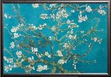 Vincent Van Gogh Almond Branches in Bloom, San Remy 24x36 Dry Mount Poster Silver Wood Framed