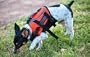 ORANGE - SMALL - Outward Hound Designer Life Jacket