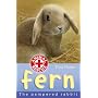 Fern: The Pampered Rabbit (Animal Rescue)