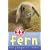 Fern: The Pampered Rabbit (Animal Rescue)