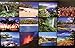 The Big Island Hawai'i 2016 Calendar