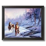 Indian Shadow Of Forest Horse Snow Home Decor Wall Picture Black Framed Art Print