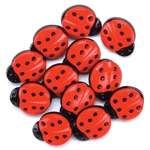Ladybug Math Manipulatives
