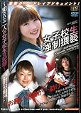 女子校生強制猥褻 [DVD]