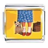 Dorothy's Red Shoes And Toto Animal Photo Italian Charms Bracelet Link