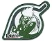 Naruto: Patch - Kakashi & Leaf Village Logo