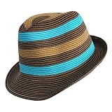 BROWN & BLUE LIGHTWEIGHT STRIPED FEDORA HAT