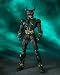 S.I.C. 仮面ライダーギルス & アナザーアギト_s-3