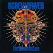 SCREW DRIVER