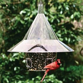 Mandarin Feeder (New Arch Ports) by Arundale