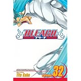 bleach vol 32