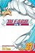 Bleach, Vol. 32 (Bleach (Graphic Novels))