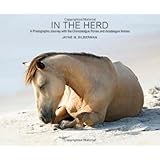 in the herd a photographic journey with the chincoteague ponies and assateague horses