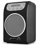 51 cyhLJY L. SL160  Denver 510c UKW/MP3 Radio mit USB AUX Eingang Nokia Akku schwarz/black