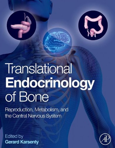 Translational Endocrinology of Bone: Reproduction, Metabolism, and the Central Nervous System On Sale